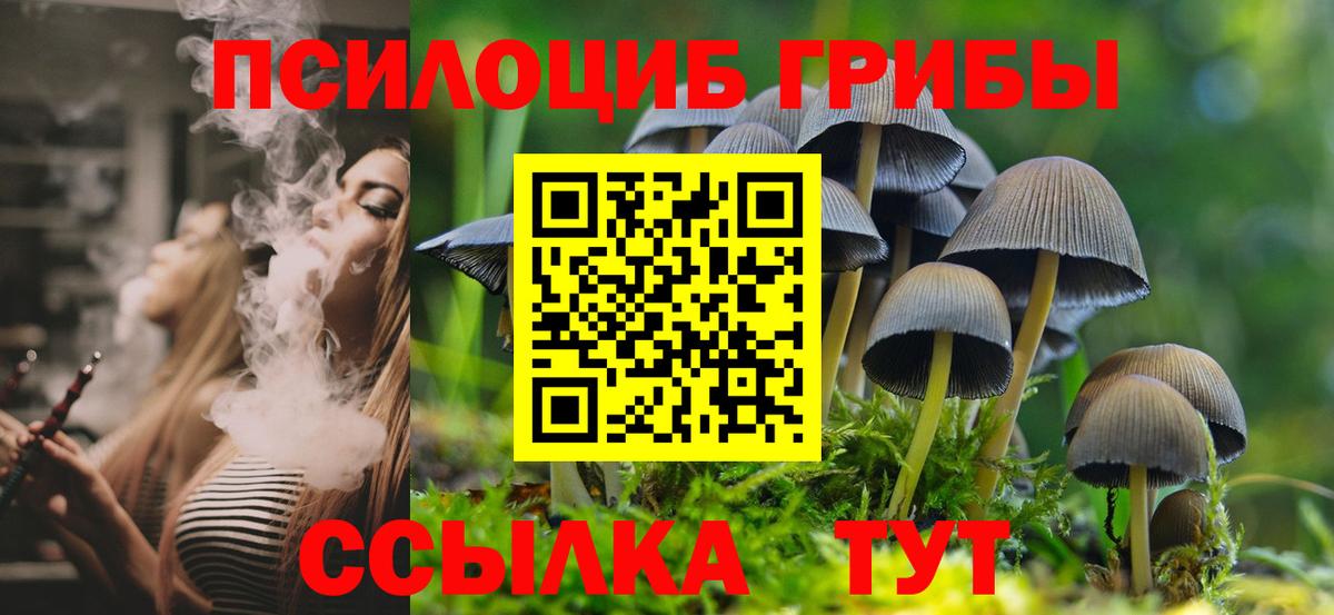 Псилоцибиновые грибы ЛСД Чайковский