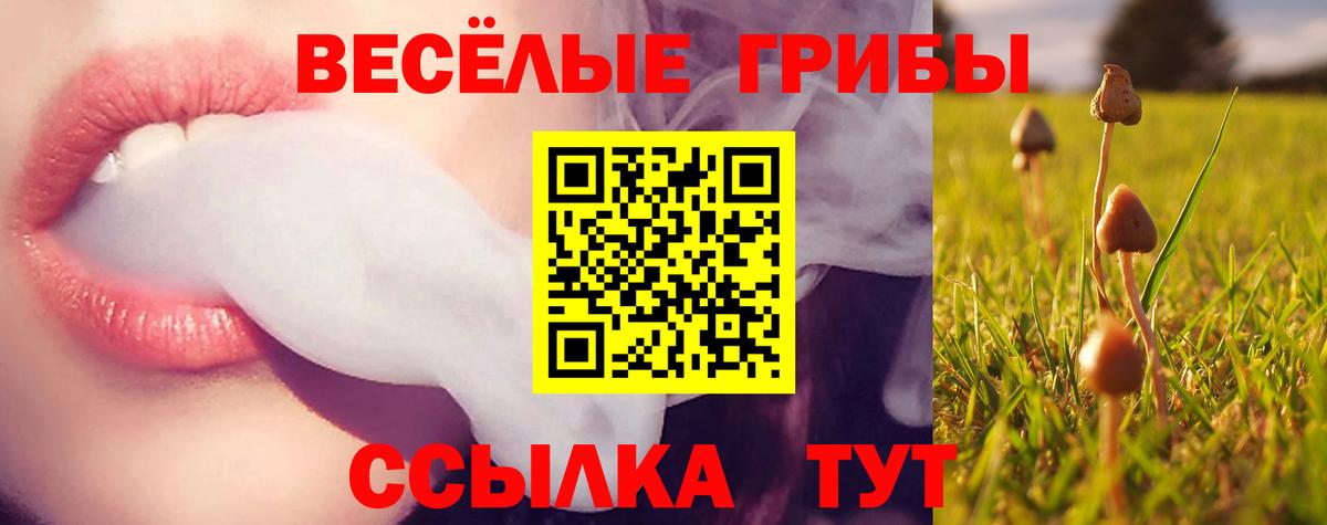 Чайковский  Галлюциногенные грибы Magic Shrooms  Вход с VPN  Галлюциногенные грибы ЛСД 